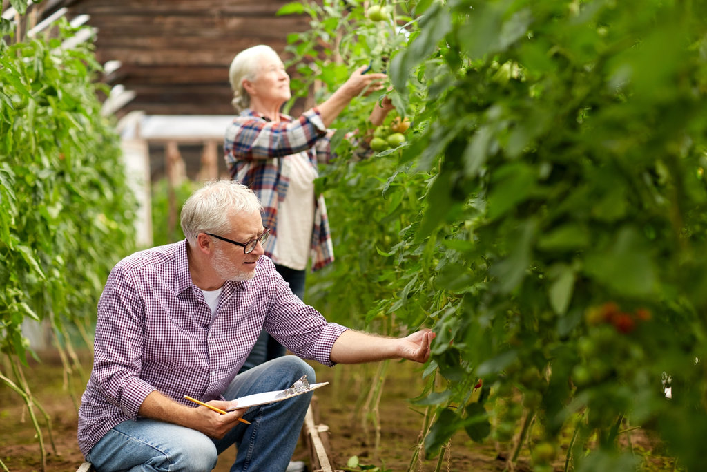 Two older people gardening in their garden