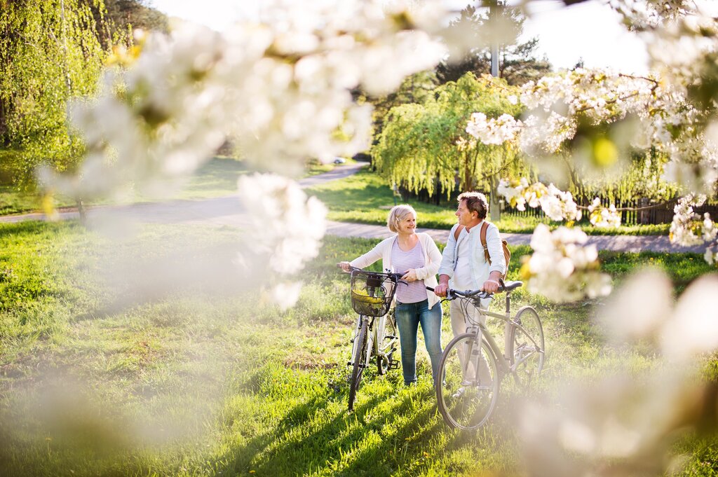 Couple pusing bikes in sunshine under blossom tree