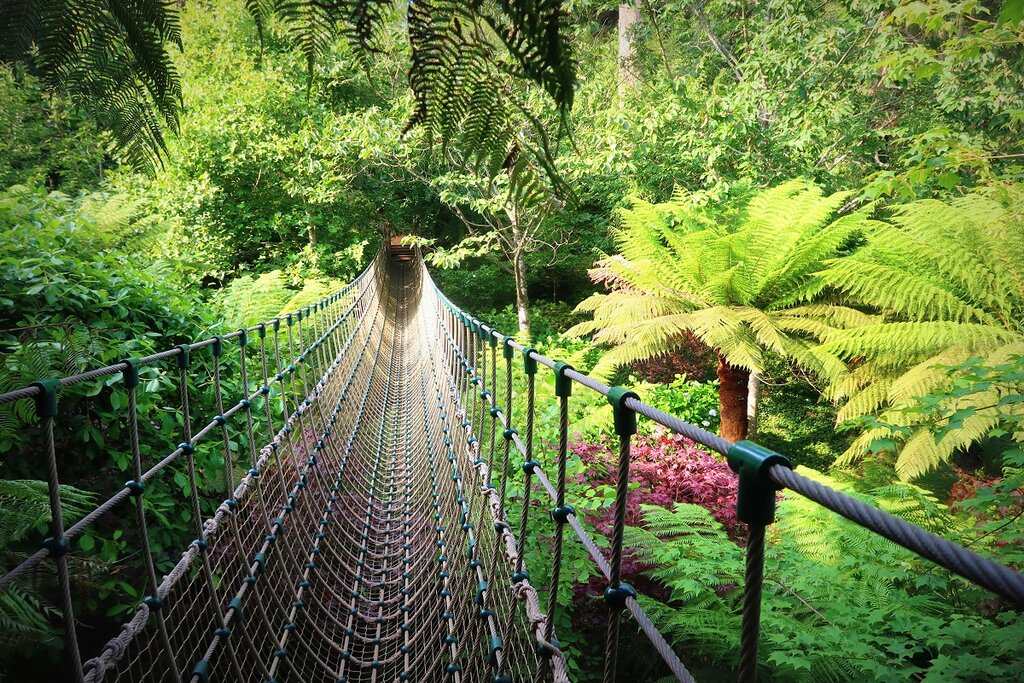 Rope bridge at the Lost Gardens of Heligan