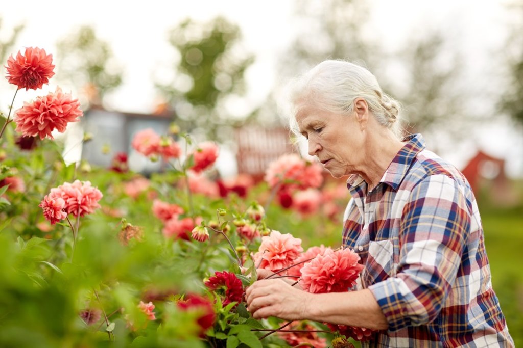 old person gardening