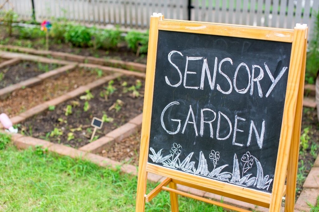 Sensory garden
