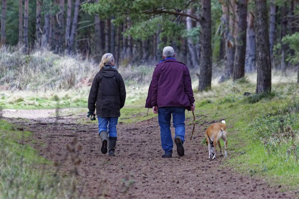 Older couple walking a dog through the woods