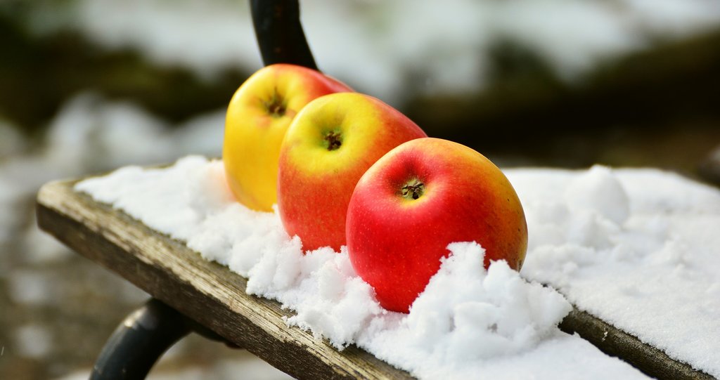 Winter fruit salad