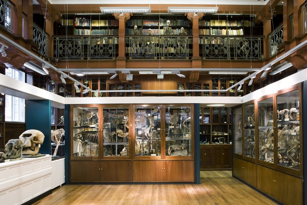 Grant Museum of Zoology London