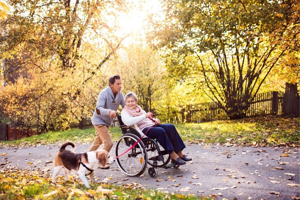 Lady and man on dog walk