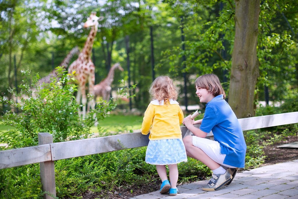 Children at the zoo