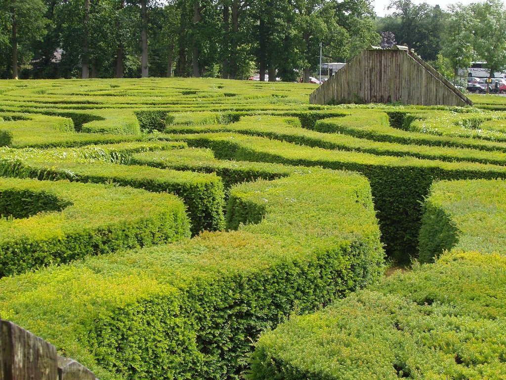 Longleat Hedge Maze