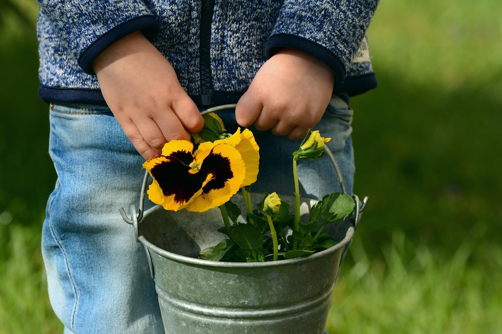 Gardening with your grandchildren