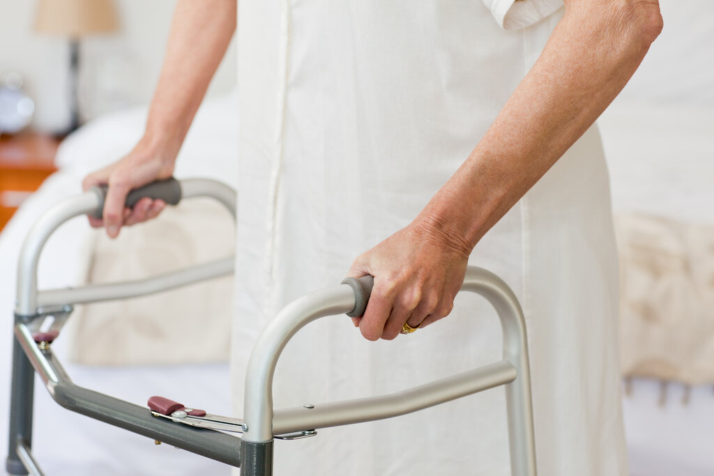 Robotic bird designed to go on zimmer frames