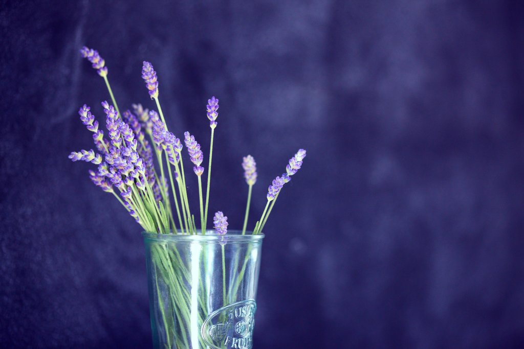 Glass of lavender