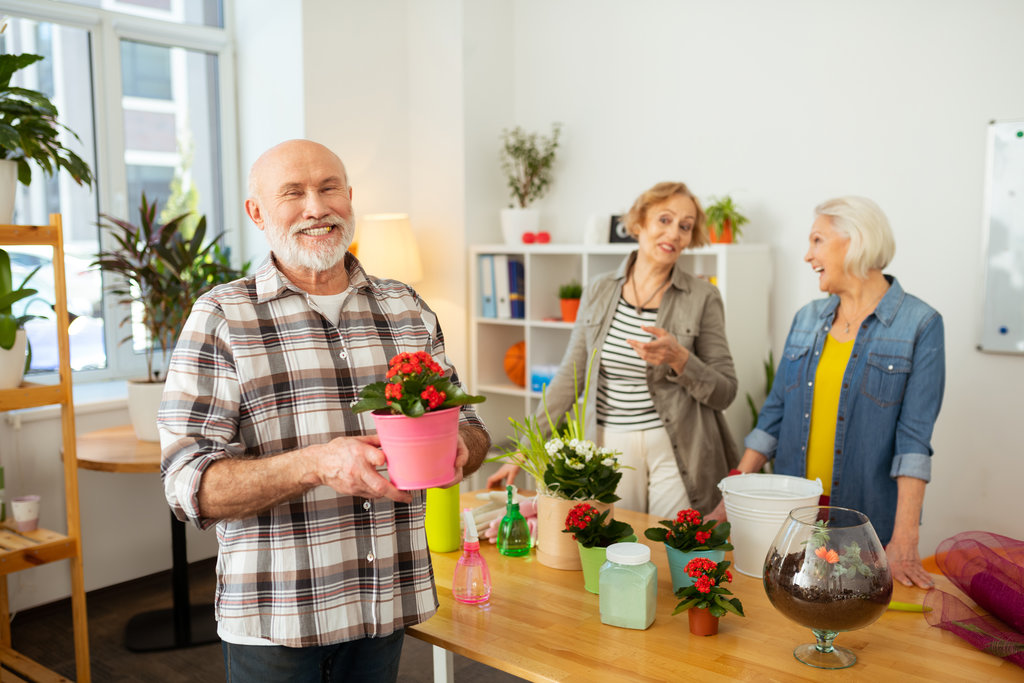 Older man holding an indoor plant