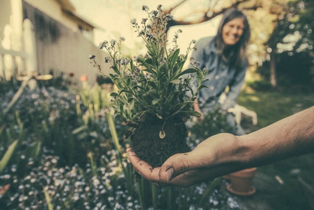 A person gardening in the garden